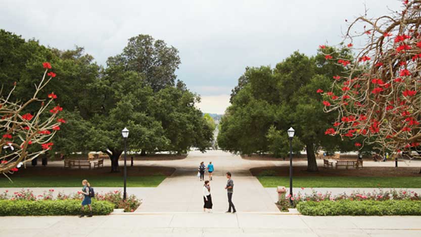 People walk around in an open area of a park while surrounded by trees, benches, and flowers.